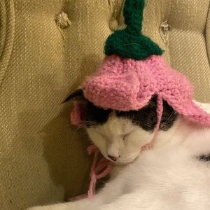 Meet your Posher, Valerie